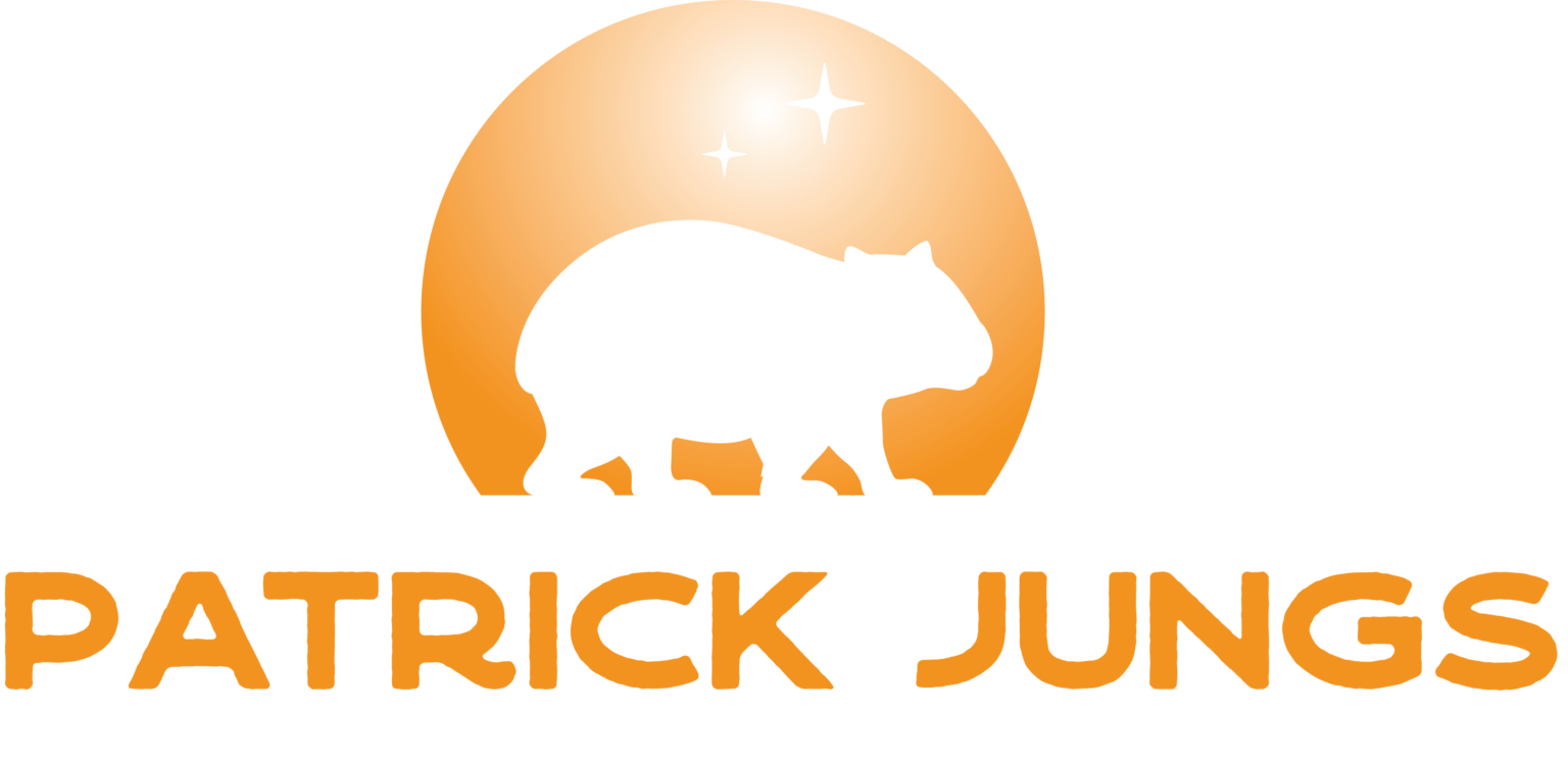 Über Patrick Jungs Patrick Jungs